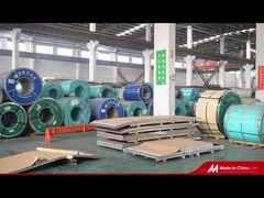 فيديو الملف